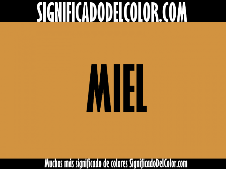 Cual es el color Miel 【Como es el color miel + Ejemplo】
