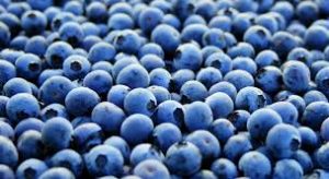 la fruta llamada arándano da nombre a este color