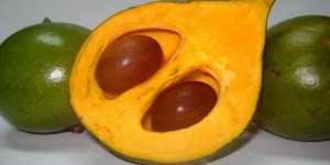 la lúcuma es una fruta originaria de Perú que da nombre a este color